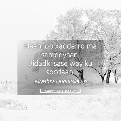 Picture 05 - Sabuurradii 119:3 SOM - Haah, oo xaqdarro ma sameeyaan, Jidadkiisase way - Bible Verse Picture