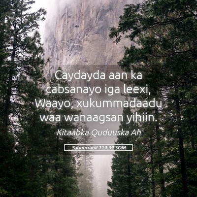 Picture 05 - Sabuurradii 119:39 SOM - Caydayda aan ka cabsanayo iga leexi, Waayo, - Bible Verse Picture