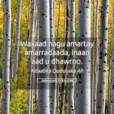 Picture 05 - Sabuurradii 119:4 SOM - Waxaad nagu amartay amarradaada, Inaan aad u - Bible Verse Picture