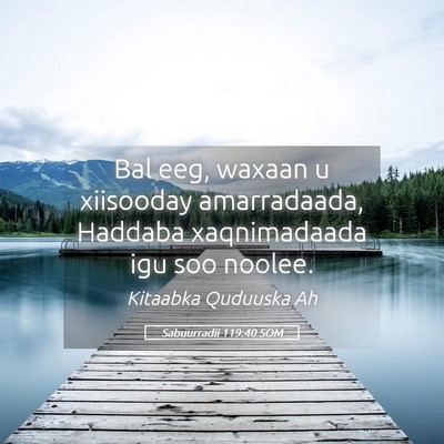 Picture 05 - Sabuurradii 119:40 SOM - Bal eeg, waxaan u xiisooday amarradaada, Haddaba - Bible Verse Picture