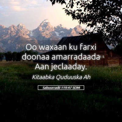 Picture 05 - Sabuurradii 119:47 SOM - Oo waxaan ku farxi doonaa amarradaada Aan - Bible Verse Picture