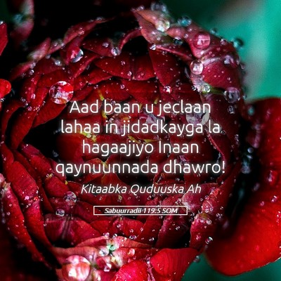 Picture 05 - Sabuurradii 119:5 SOM - Aad baan u jeclaan lahaa in jidadkayga la - Bible Verse Picture