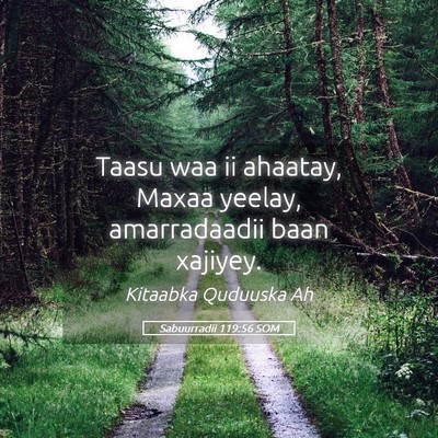 Picture 05 - Sabuurradii 119:56 SOM - Taasu waa ii ahaatay, Maxaa yeelay, amarradaadii - Bible Verse Picture