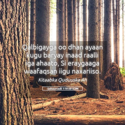 Picture 05 - Sabuurradii 119:58 SOM - Qalbigayga oo dhan ayaan kugu baryay inaad raalli - Bible Verse Picture