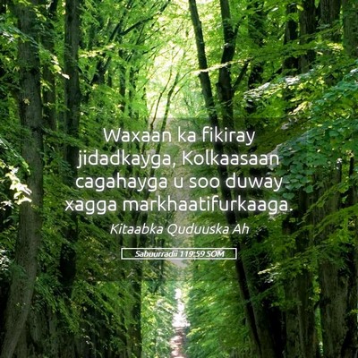 Picture 05 - Sabuurradii 119:59 SOM - Waxaan ka fikiray jidadkayga, Kolkaasaan - Bible Verse Picture