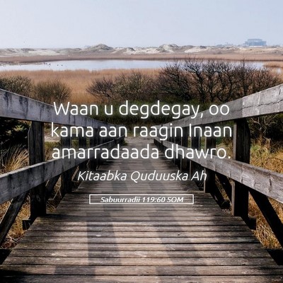 Picture 05 - Sabuurradii 119:60 SOM - Waan u degdegay, oo kama aan raagin Inaan - Bible Verse Picture