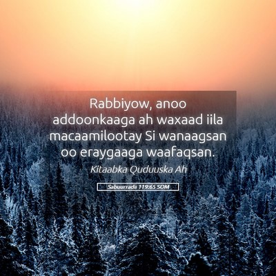 Picture 05 - Sabuurradii 119:65 SOM - Rabbiyow, anoo addoonkaaga ah waxaad iila - Bible Verse Picture