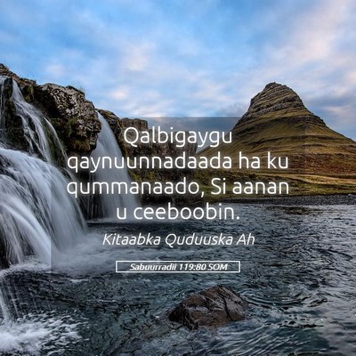 Picture 05 - Sabuurradii 119:80 SOM - Qalbigaygu qaynuunnadaada ha ku qummanaado, Si - Bible Verse Picture