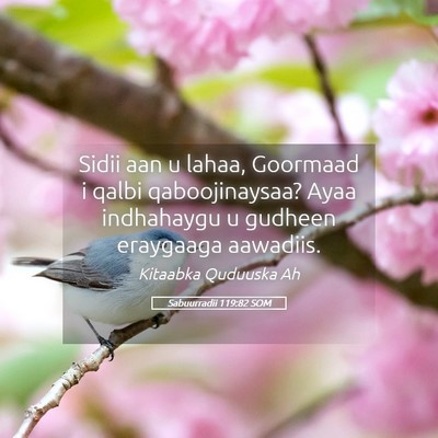 Picture 05 - Sabuurradii 119:82 SOM - Sidii aan u lahaa, Goormaad i qalbi - Bible Verse Picture