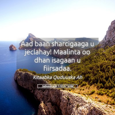 Picture 05 - Sabuurradii 119:97 SOM - Aad baan sharcigaaga u jeclahay! Maalinta oo dhan - Bible Verse Picture