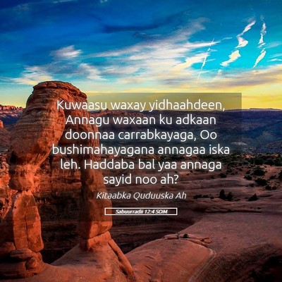 Picture 05 - Sabuurradii 12:4 SOM - Kuwaasu waxay yidhaahdeen, Annagu waxaan ku - Bible Verse Picture