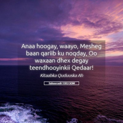 Picture 05 - Sabuurradii 120:5 SOM - Anaa hoogay, waayo, Mesheg baan qariib ku noqday, - Bible Verse Picture