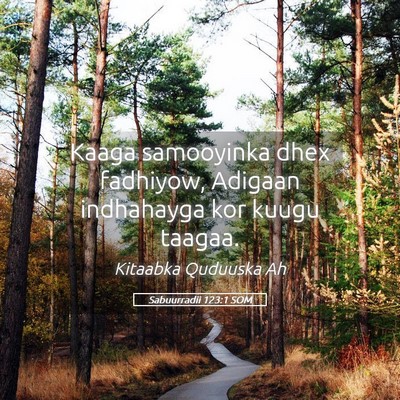 Picture 05 - Sabuurradii 123:1 SOM - Kaaga samooyinka dhex fadhiyow, Adigaan - Bible Verse Picture