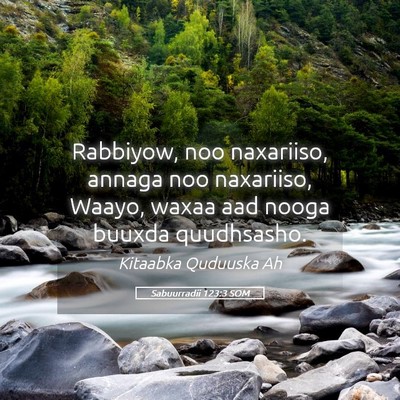 Picture 05 - Sabuurradii 123:3 SOM - Rabbiyow, noo naxariiso, annaga noo naxariiso, - Bible Verse Picture