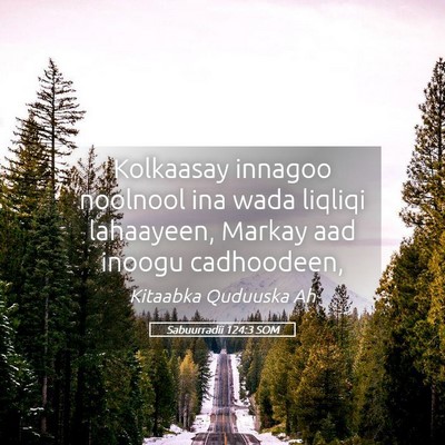 Picture 05 - Sabuurradii 124:3 SOM - Kolkaasay innagoo noolnool ina wada liqliqi - Bible Verse Picture
