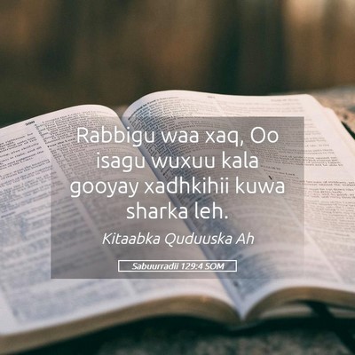 Picture 05 - Sabuurradii 129:4 SOM - Rabbigu waa xaq, Oo isagu wuxuu kala gooyay - Bible Verse Picture