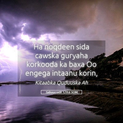 Picture 05 - Sabuurradii 129:6 SOM - Ha noqdeen sida cawska guryaha korkooda ka baxa - Bible Verse Picture