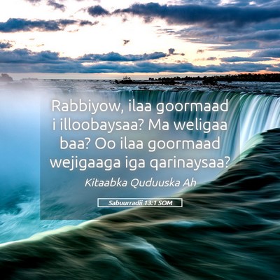 Picture 05 - Sabuurradii 13:1 SOM - Rabbiyow, ilaa goormaad i illoobaysaa? Ma weligaa - Bible Verse Picture