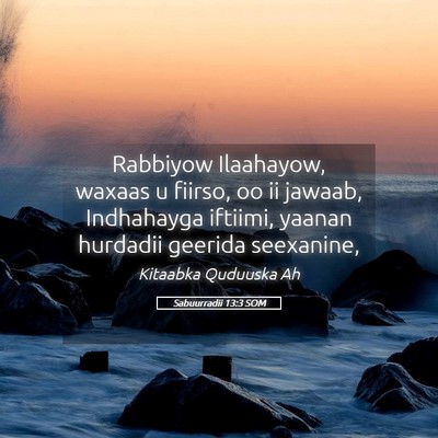 Picture 05 - Sabuurradii 13:3 SOM - Rabbiyow Ilaahayow, waxaas u fiirso, oo ii - Bible Verse Picture