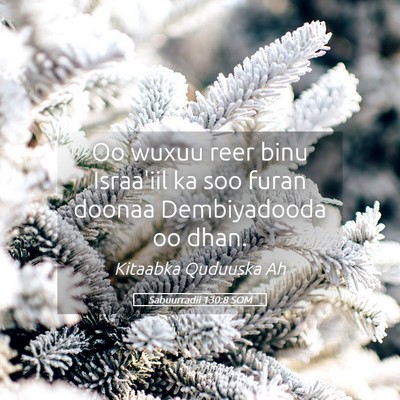 Picture 05 - Sabuurradii 130:8 SOM - Oo wuxuu reer binu Israa'iil ka soo furan doonaa - Bible Verse Picture