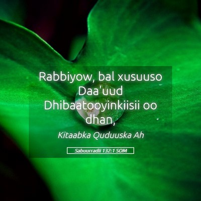 Picture 05 - Sabuurradii 132:1 SOM - Rabbiyow, bal xusuuso Daa'uud Dhibaatooyinkiisii - Bible Verse Picture