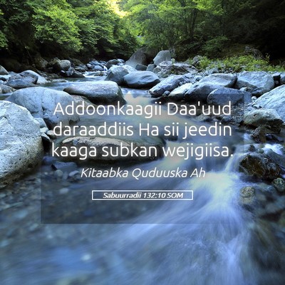 Picture 05 - Sabuurradii 132:10 SOM - Addoonkaagii Daa'uud daraaddiis Ha sii jeedin - Bible Verse Picture