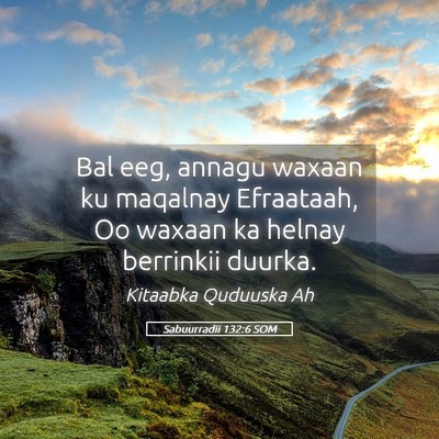Picture 05 - Sabuurradii 132:6 SOM - Bal eeg, annagu waxaan ku maqalnay Efraataah, Oo - Bible Verse Picture