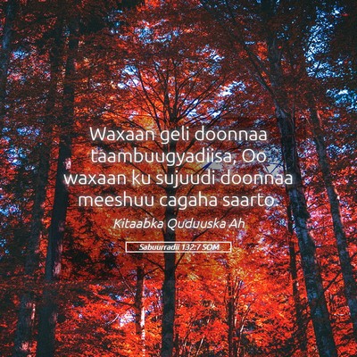 Picture 05 - Sabuurradii 132:7 SOM - Waxaan geli doonnaa taambuugyadiisa, Oo waxaan ku - Bible Verse Picture