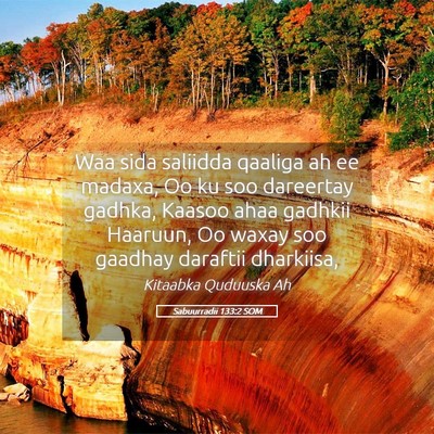 Picture 05 - Sabuurradii 133:2 SOM - Waa sida saliidda qaaliga ah ee madaxa, Oo ku soo - Bible Verse Picture