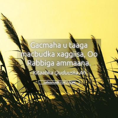 Picture 05 - Sabuurradii 134:2 SOM - Gacmaha u taaga macbudka xaggiisa, Oo Rabbiga - Bible Verse Picture
