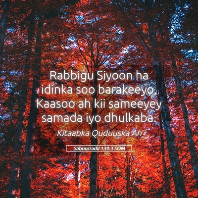 Picture 05 - Sabuurradii 134:3 SOM - Rabbigu Siyoon ha idinka soo barakeeyo, Kaasoo ah - Bible Verse Picture