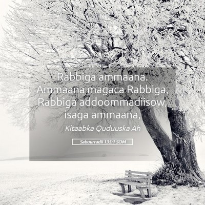 Picture 05 - Sabuurradii 135:1 SOM - Rabbiga ammaana. Ammaana magaca Rabbiga, Rabbiga - Bible Verse Picture