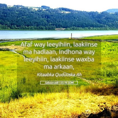 Picture 05 - Sabuurradii 135:16 SOM - Afaf way leeyihiin, laakiinse ma hadlaan, Indhona - Bible Verse Picture