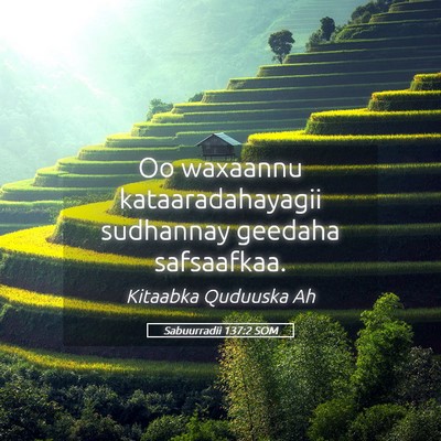 Picture 05 - Sabuurradii 137:2 SOM - Oo waxaannu kataaradahayagii sudhannay geedaha - Bible Verse Picture