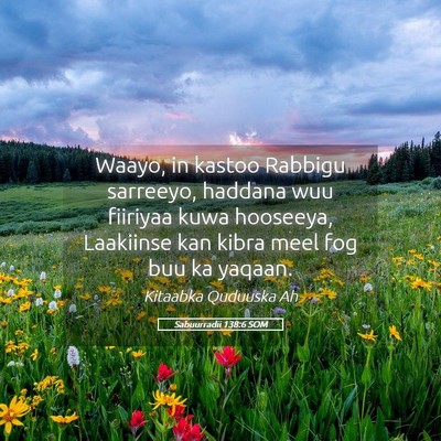 Picture 05 - Sabuurradii 138:6 SOM - Waayo, in kastoo Rabbigu sarreeyo, haddana wuu - Bible Verse Picture