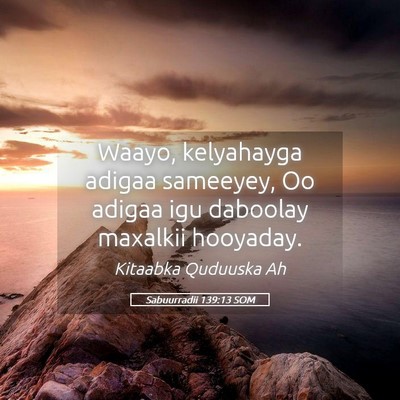 Picture 05 - Sabuurradii 139:13 SOM - Waayo, kelyahayga adigaa sameeyey, Oo adigaa igu - Bible Verse Picture