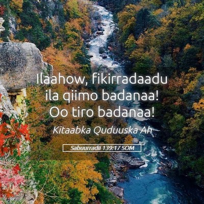 Picture 05 - Sabuurradii 139:17 SOM - Ilaahow, fikirradaadu ila qiimo badanaa! Oo tiro - Bible Verse Picture