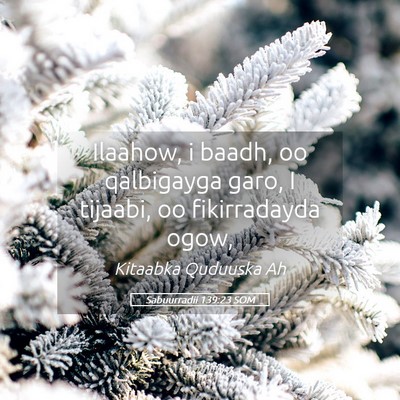 Picture 05 - Sabuurradii 139:23 SOM - Ilaahow, i baadh, oo qalbigayga garo, I tijaabi, - Bible Verse Picture