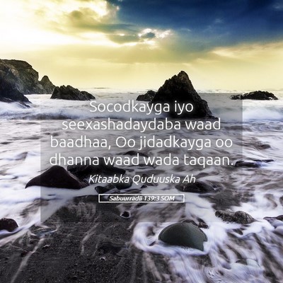 Picture 05 - Sabuurradii 139:3 SOM - Socodkayga iyo seexashadaydaba waad baadhaa, Oo - Bible Verse Picture