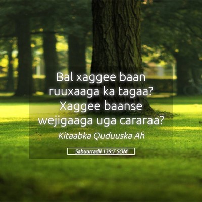 Picture 05 - Sabuurradii 139:7 SOM - Bal xaggee baan ruuxaaga ka tagaa? Xaggee baanse - Bible Verse Picture