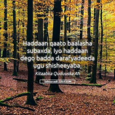 Picture 05 - Sabuurradii 139:9 SOM - Haddaan qaato baalasha subaxda, Iyo haddaan dego - Bible Verse Picture