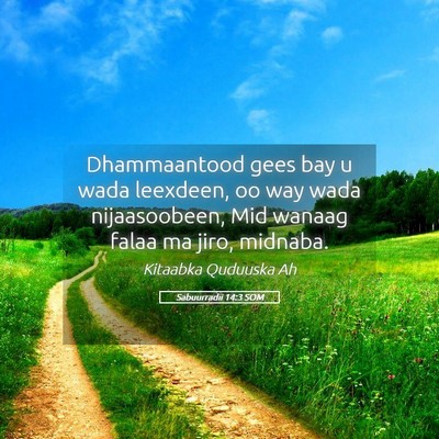 Picture 05 - Sabuurradii 14:3 SOM - Dhammaantood gees bay u wada leexdeen, oo way - Bible Verse Picture