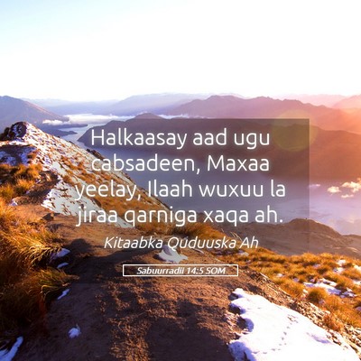 Picture 05 - Sabuurradii 14:5 SOM - Halkaasay aad ugu cabsadeen, Maxaa yeelay, Ilaah - Bible Verse Picture