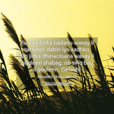 Picture 05 - Sabuurradii 140:5 SOM - Kuwa kibirka badanu waxay ii qariyeen dabin iyo - Bible Verse Picture
