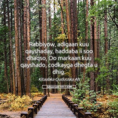 Picture 05 - Sabuurradii 141:1 SOM - Rabbiyow, adigaan kuu qayshaday, haddaba ii soo - Bible Verse Picture