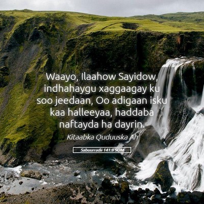 Picture 05 - Sabuurradii 141:8 SOM - Waayo, Ilaahow Sayidow, indhahaygu xaggaagay ku - Bible Verse Picture