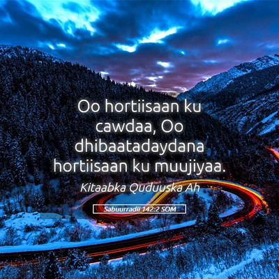 Picture 05 - Sabuurradii 142:2 SOM - Oo hortiisaan ku cawdaa, Oo dhibaatadaydana - Bible Verse Picture