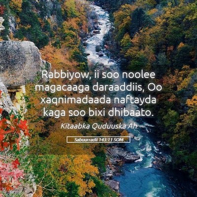 Picture 05 - Sabuurradii 143:11 SOM - Rabbiyow, ii soo noolee magacaaga daraaddiis, Oo - Bible Verse Picture