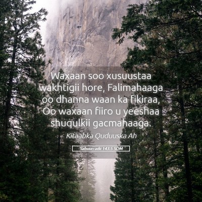 Picture 05 - Sabuurradii 143:5 SOM - Waxaan soo xusuustaa wakhtigii hore, Falimahaaga - Bible Verse Picture