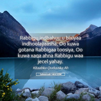 Picture 05 - Sabuurradii 146:8 SOM - Rabbigu indhahuu u bixiyaa indhoolayaasha, Oo - Bible Verse Picture